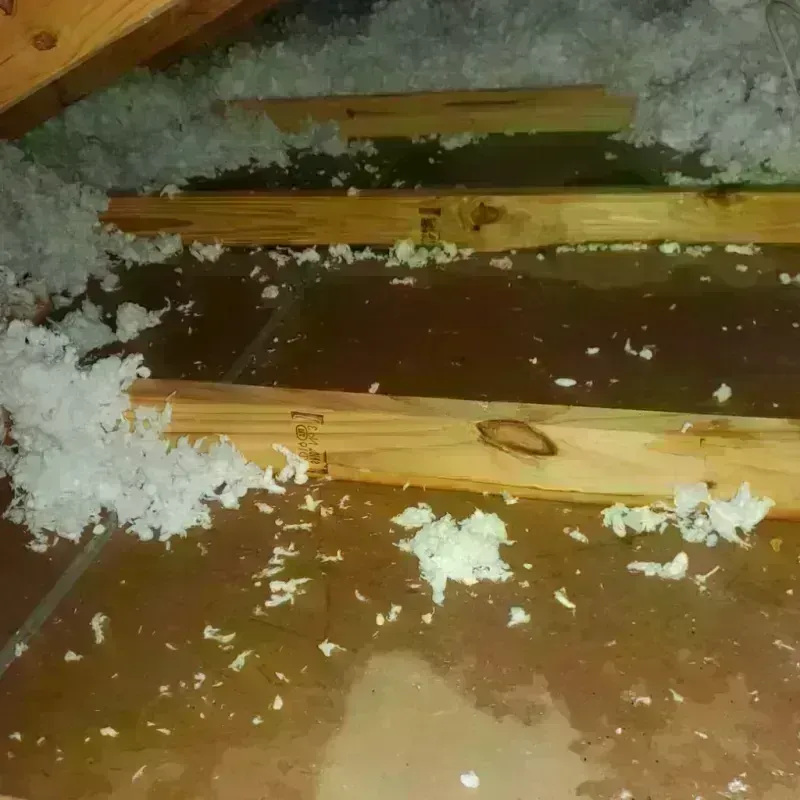 Attic Water Damage in Staples, MN