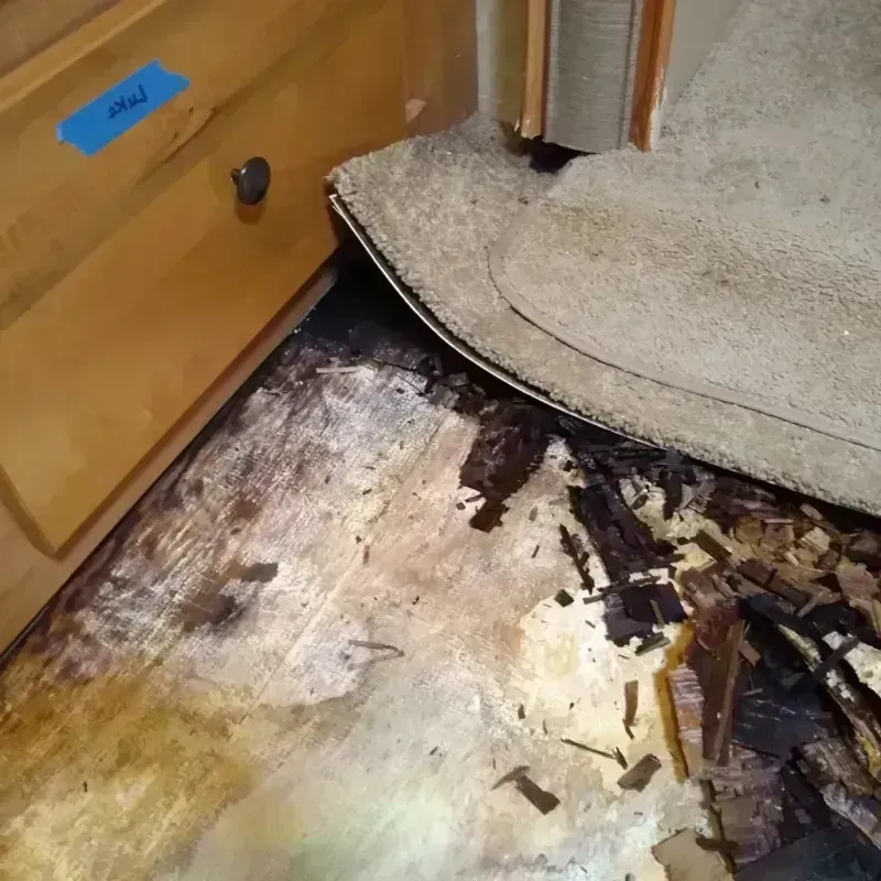 Wood Floor Water Damage in Staples, MN